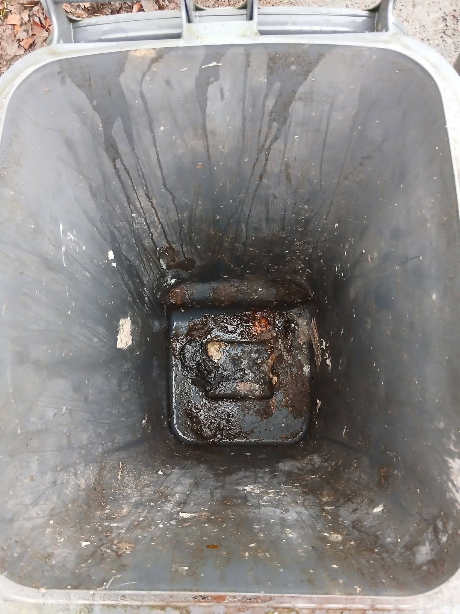 Grimy wheelie bin interior before cleaning